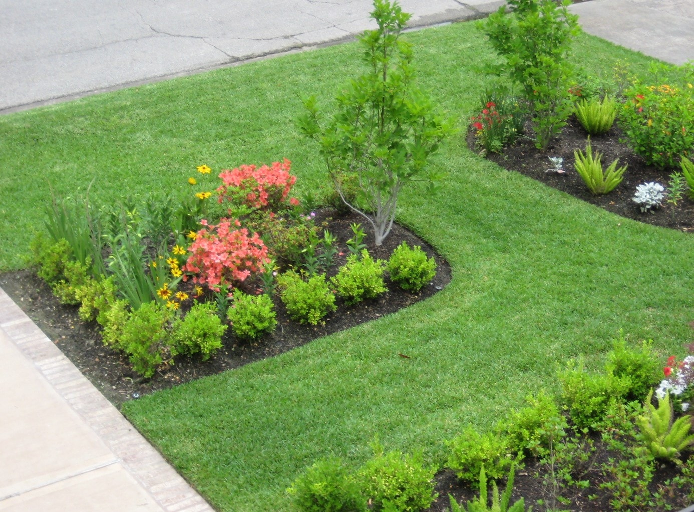 Curb Appeal & Landscaping